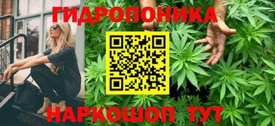трава Бердск