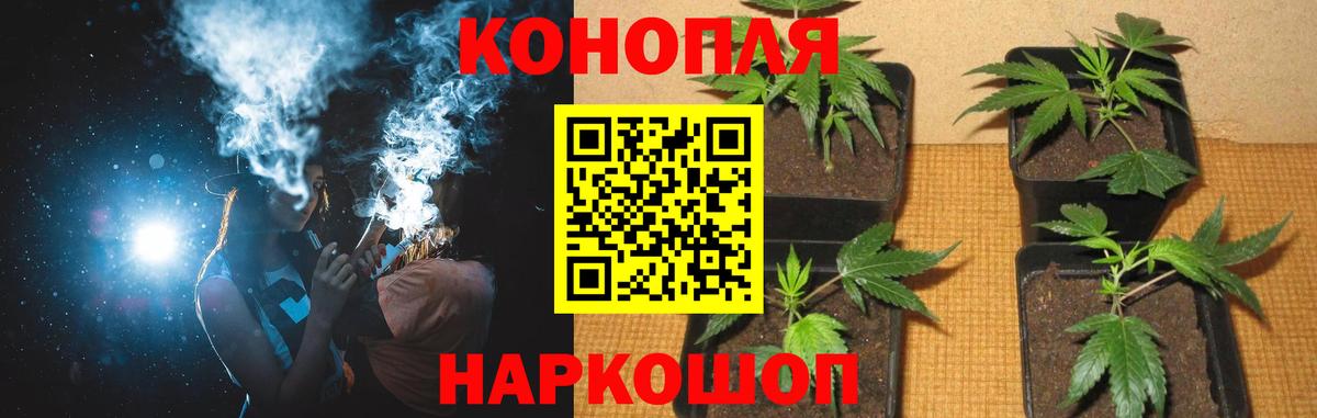 Бошки Шишки тримм Архангельск